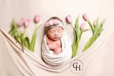 Celine HAMEL - SLIN PHOTO CELINE HAMEL