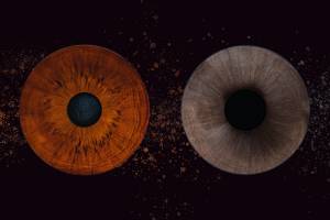 Jean-Marc PENRATH - STUDIO DES VIGNES D'AVARICUM